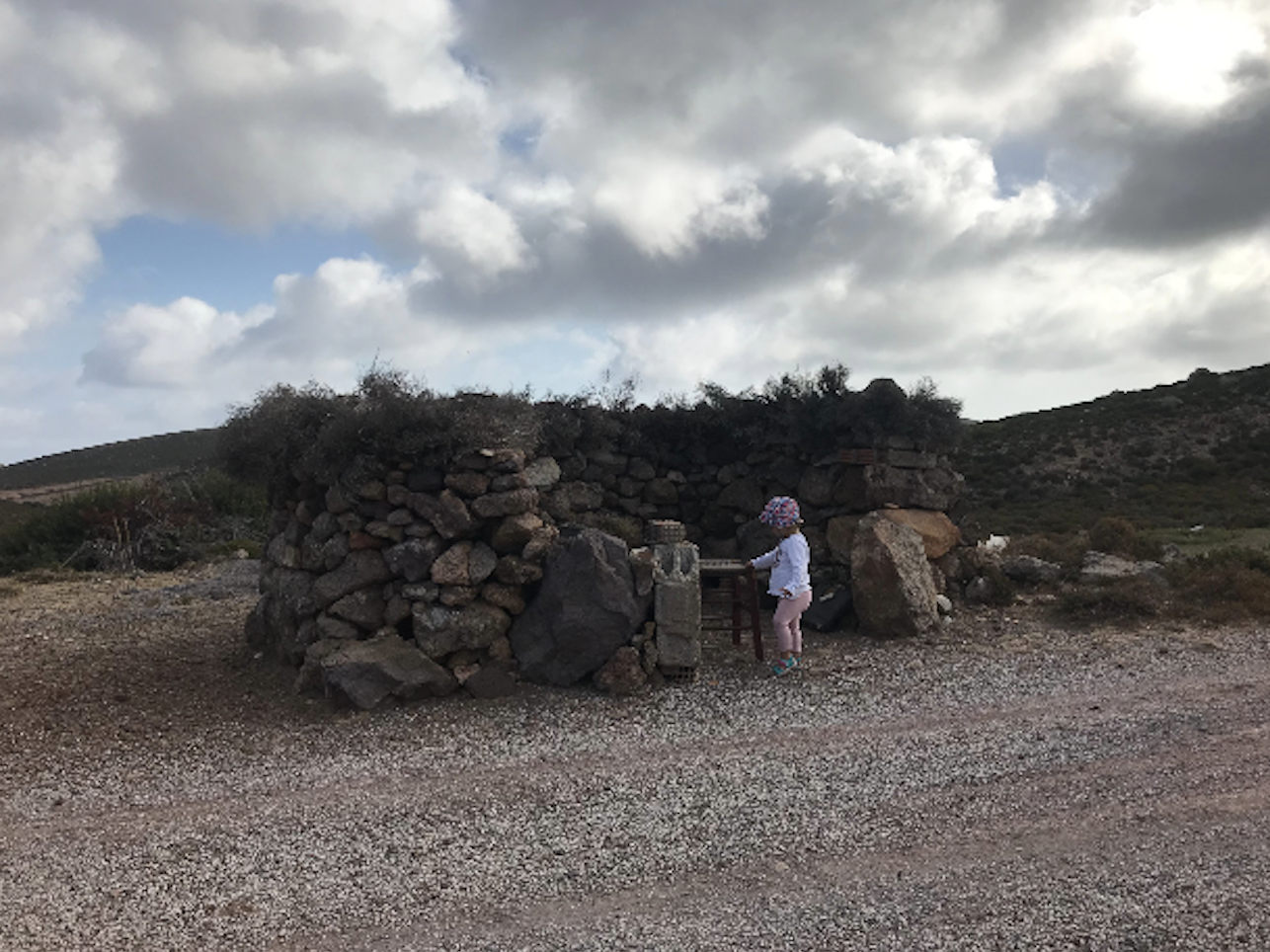 Screenshot 2025-02-08 at 11.13.51 AM